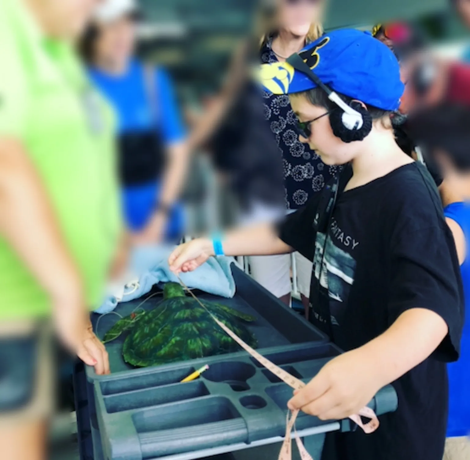 A child using a tape measure on a model sea turtle during a guided tour